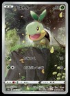 Turtwig