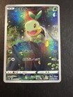 Turtwig