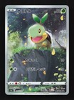 Turtwig