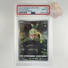 Turtwig