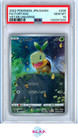 Turtwig