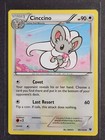 Cinccino