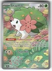 Shaymin