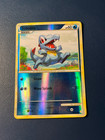Totodile