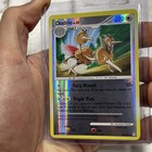 Dodrio