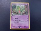 Treecko