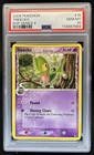 Treecko