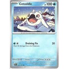 Cetoddle