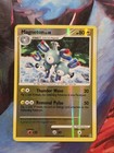 Magneton