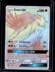 Entei GX