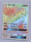 Entei GX