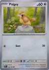 Pidgey