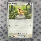 Pidgey
