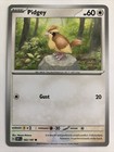 Pidgey