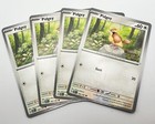Pidgey