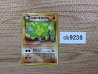 Primeape