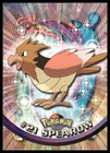 Spearow