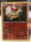 Victini