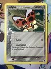 Ledyba