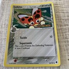 Ledyba