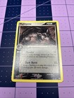 Mightyena