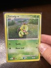 Turtwig