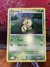 Turtwig