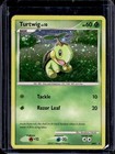 Turtwig