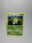 Turtwig