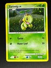 Turtwig