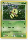 Turtwig
