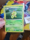 Turtwig