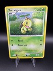 Turtwig
