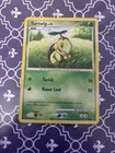 Turtwig