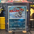 Poochyena