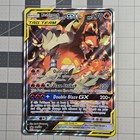 Reshiram & Charizard GX