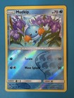 Mudkip