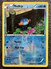 Mudkip