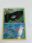 Mudkip