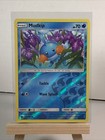 Mudkip