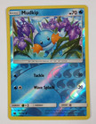 Mudkip