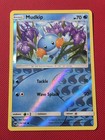 Mudkip