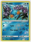 Mudkip