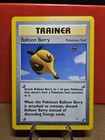 Balloon Berry