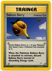 Balloon Berry
