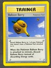 Balloon Berry