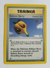 Balloon Berry