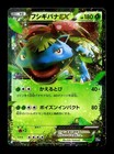 Venusaur EX