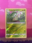 Chikorita