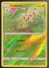 Chikorita